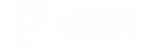 Logo 11